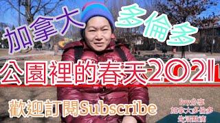 ＃Ivy分享生活點滴＃Park #＃加拿大多倫多＃ Canada Toronto Vlog #2021公園裡的春天~也是野餐放鬆的好地方