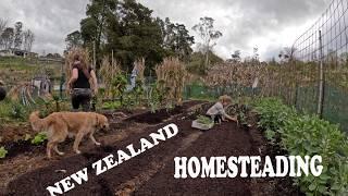 Spring has arrived on our New Zealand Homestead (vlog)