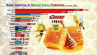 Major countries in natural Honey production • Daily Show With Erfan • Top 10 Honey producer country