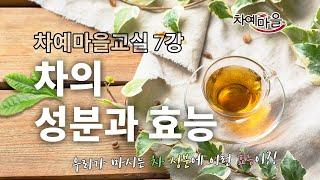 내가 마시고 있는 차의 효능과 성분은!? 카페인 카테킨 데아닌 등｜차예마을교실 제 7강