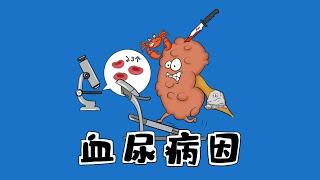 医学手绘精讲 | 【血尿】病因大总结 Causes of Hematuria