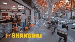 Walking along Xiangyang South Road on the streets of Shanghai in late autumn  4K