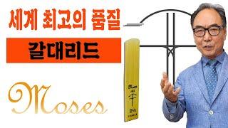 최고의 품질! 프랑스 갈대리드!