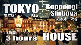 夜散歩 ３時間 東京駅～六本木～渋谷 / 3hours Night walk Tokyo Sta. to Shibuya via Roppong, House (November 3, 2024)