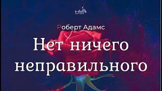 Роберт Адамс - Нет ничего неправильного [Nikosho]