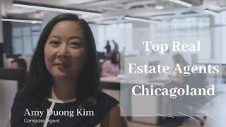 Top Real Estate Agents Chicagoland Luxury Real Estate Chicago 2020 Relocation Realtor Illinois