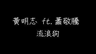 黃明志 - 流浪狗  ft.蕭敬騰   歌词版