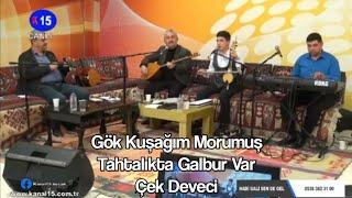 Yusuf Emre Yalçın - Gök Kuşağım Morumuş, Çek Deveci, Tahtalıkta Galbur Var