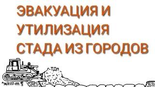 Эвакуация и утилизация стада из городов