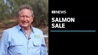 Andrew 'Twiggy' Forrest buys stake in Tasmanian salmon farming giant Huon Aquaculture | ABC News