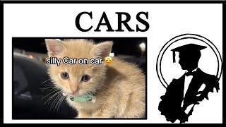 Why Are Cats Still Called Cars?