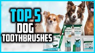 Top 5 Best Dog Toothbrushes in 2025