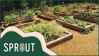 Sell: Family Gardening Business Journey | Sprout Full Episode