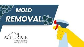 Capital Region, NY Mold Removal | Accurate Water and Fire Restoration