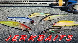 BUYER'S GUIDE: Jerkbaits and Jerkbait Rods For Bass!