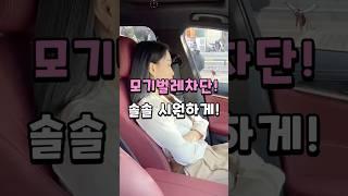 벌레 막고 바람은 쐬고 버그망 방충망