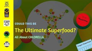 The Sun Chlorella Difference | Benefits of Chlorella & Why It Could Be The ULTIMATE Superfood