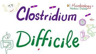 Clostridium difficile (Pseudomembranous Colitis) | Microbiology  & Infectious Diseases