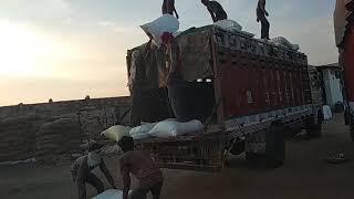 Wholesaler Beniwal pashu aahar goat food Nagaur Rajasthan 9252441755