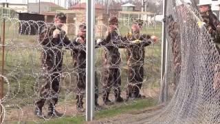 Hungarian forces patrol the border(Hungarian-Serb), against illegal immigrants