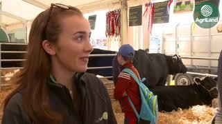 AgriLand's Emma Gilsenan speaks to represenatives of the Irish Angus Cattle Society...