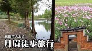 Season suitable for hiking in Daxi Yuemei: Flower Festival, Bald Bald, Li Tengfang Ancient House