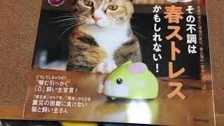 ねこのきもち3月号