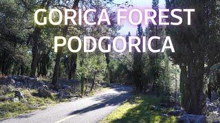  Explore the forest in Downtown Podgorica - Montenegro