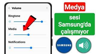 Medya Sesi Samsung'da Çalışmıyor | Samsung ses sorunu nasıl düzeltilir