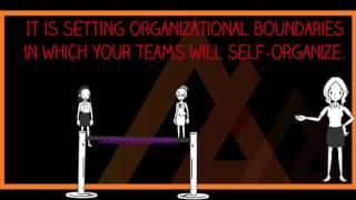 Agile Literacy's Tip of the Day: Organizational Boundaries