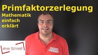 Primfaktorzerlegung | Bruchrechnung |  Mathematik - einfach erklärt | Lehrerschmidt