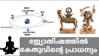 Ketu in Astrology and Past Life learn astrology in malayalam /കേതു  ജ്യോതിഷത്തിൽ