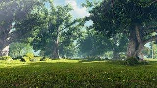 Forest, Meadow And Sunshine | Motion Graphics - Videohive template