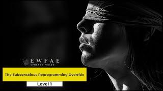 The Subconscious Reprogramming Override | Level 1