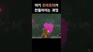 [젤다 왕눈] 하이랄에 조아조아가 많은 이유