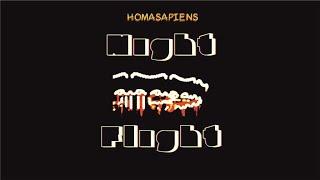 homasapiens - NIGHT FLIGHT