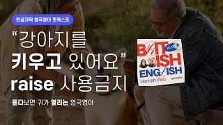 멍집사냥집사이신가요? 반려동물 이야기 영어로 하기 | 텐미닛 영국영어 팟캐스트 ep14 Pets