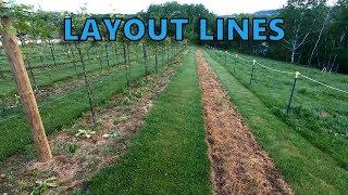 How-to Lay-Out and Plant a Vineyard Row - Part 1