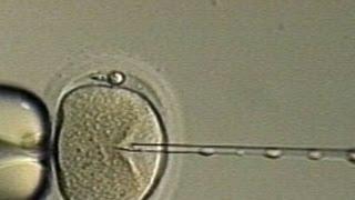 New IVF Treatment Promises Tripled Success Rate