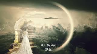 訣愛 - 詹雯婷《Jue Ai - Faye EDM Cover》【DJ Beidou】(歌词 + Pinyin Lyrics)