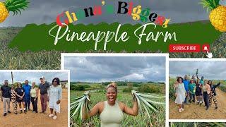 LETS TOUR GHANA’S BIGGEST PINEAPPLE FARM!