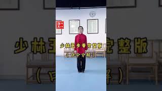 少林五步拳教学完整版（Shaolin Wu Bu Quan teaching）