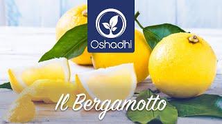 Bergamot (Citrus bergamia) - Sun Battery for Life | Essential-Oil-Plant Portrait by Dr. Malte Hozzel