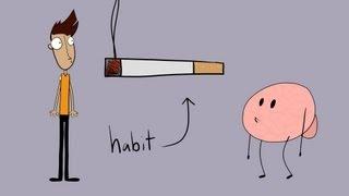 The Power of Habit