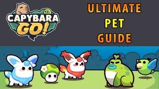 Capybara Go! Which pet build your ultimate pet team?