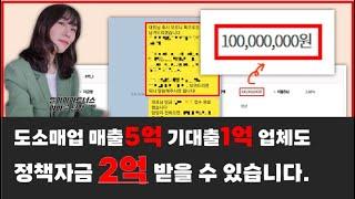 도소매업 매출5억, 기대출1억 업체도 정책자금 2억 받은 사례 [엘아이파트너스 여팀장여바른]