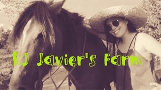 RJ FARM - PILAR BOHOL || ADVENTURE || FARM MODEL ||  uncut 