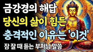 금강경의 큰 가르침ㅣ왜 우리는 집착에서 벗어나지 못할까ㅣ부처님 말씀ㅣ불교 명언