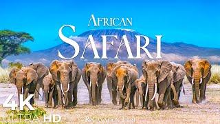 African Safari 4K • Wildlife Relaxation Film | Animals Video Ultra HD