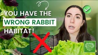 Attention Rabbit Owners! Do You Have The Wrong Cage For Your Rabbit?